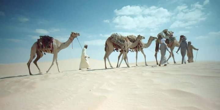 العرب في كتب التاريخ