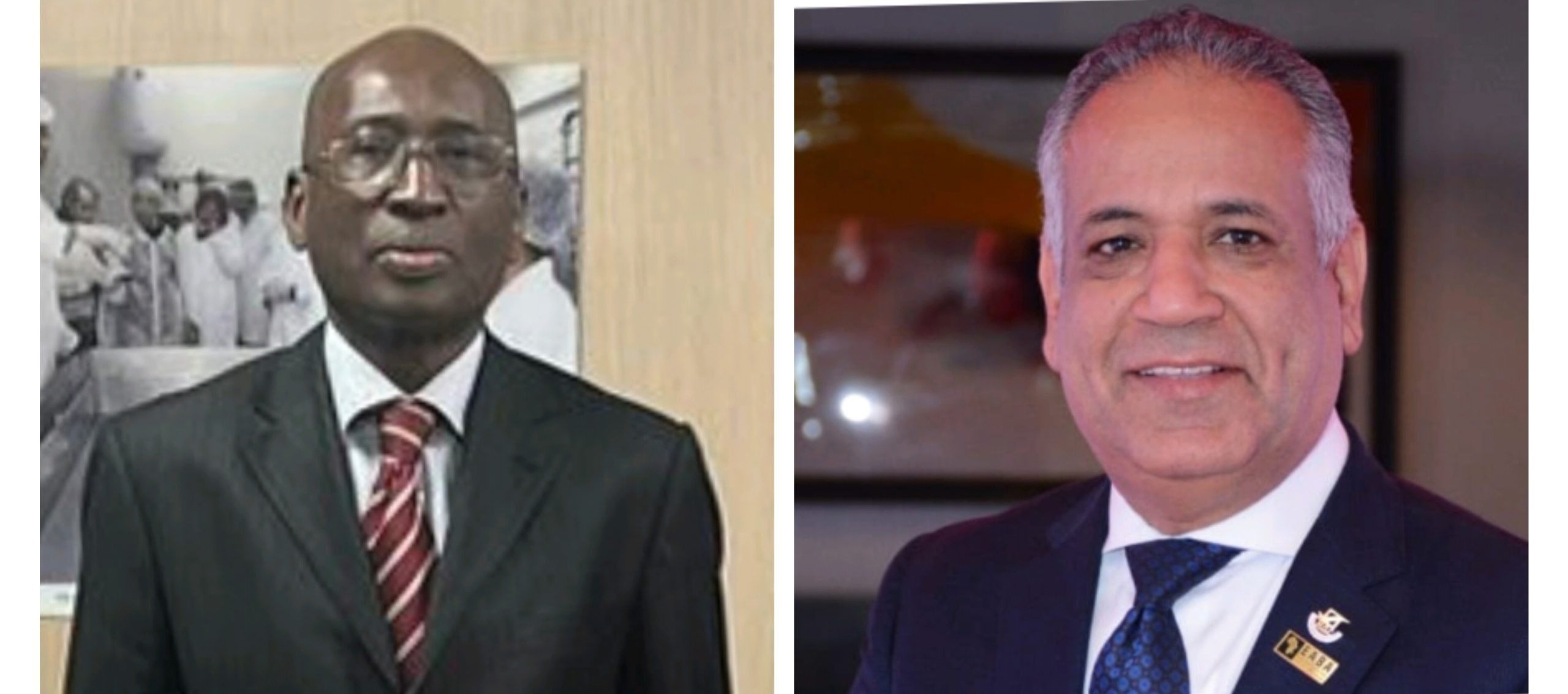 البنك الافريقي للتنمية و" المصريين الافارقة " يطلقان منتدي الاستثمار في صناعة الادوية 