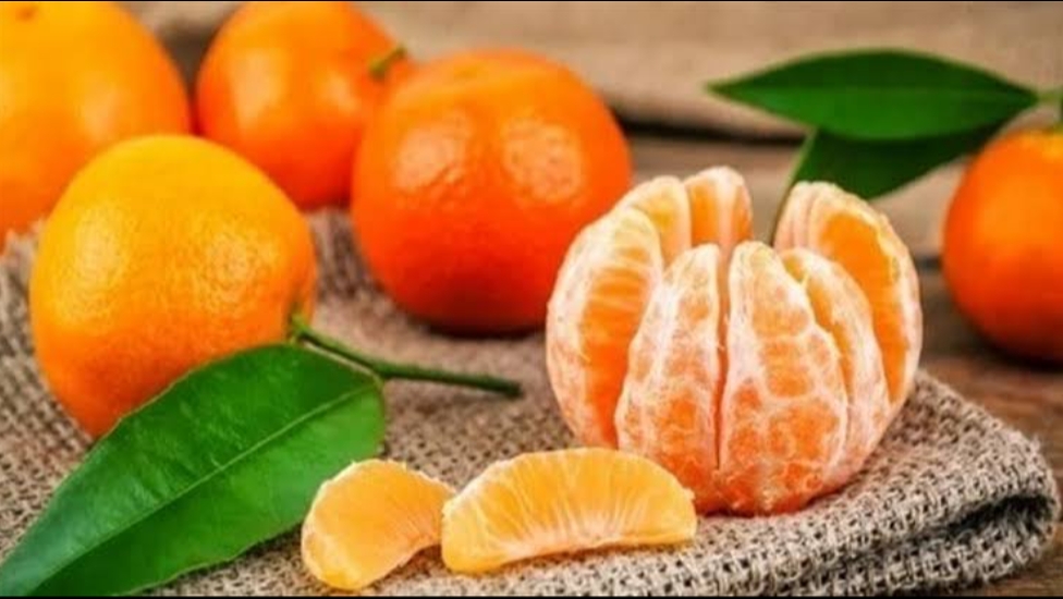 من أروع وأجمل ما قرأت ... " اليوسفي " وفوائده الصحيه