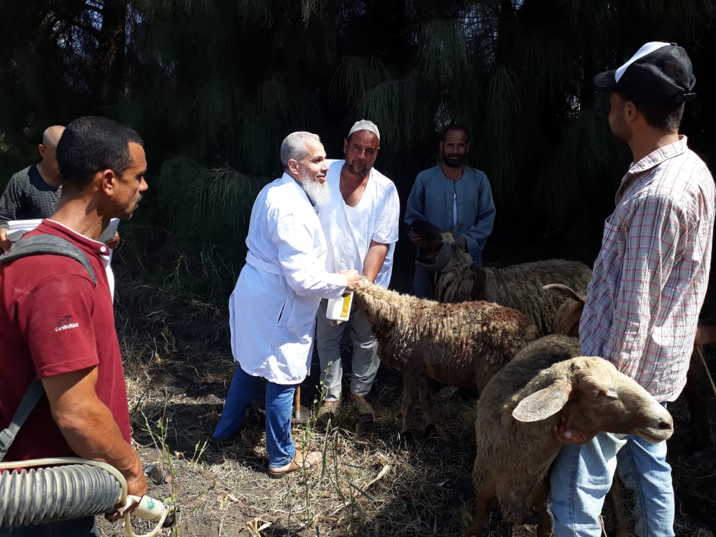 خدمات طبية وبيطرية وتوعوية للمواطنين بقافلة سكانية بقرية مستناد مركز شبراخيت    