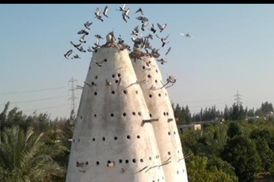 غدا .. انقطاع المياه لمدة ٢٤ ساعة ببعض مناطق الفيوم