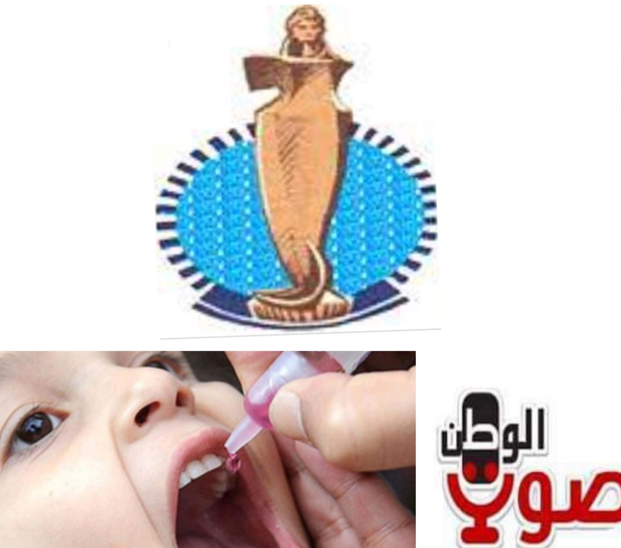 وكيل وزارة الصحة بالبحر الأحمر : المحافظة تحصد المركز الأول فى حملة تطعيم شلل الاطفال.