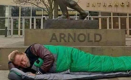 التاتش المصري في نوم أرنولد شوارزنيجر في الشارع