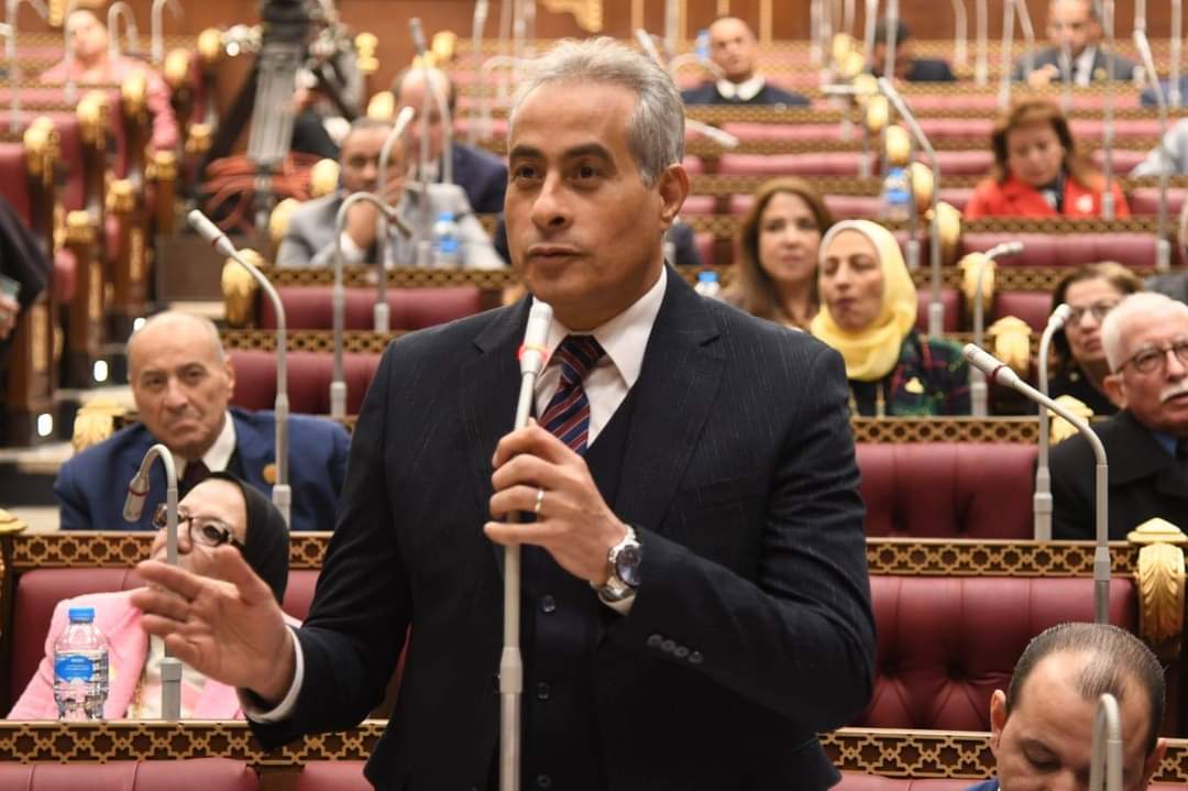 وزير القوى العاملة يستعرض أمام مجلس الشيوخ خطة "الوزارة" لدمج الإقتصاد غير الرسمي في "الرسمي" ..