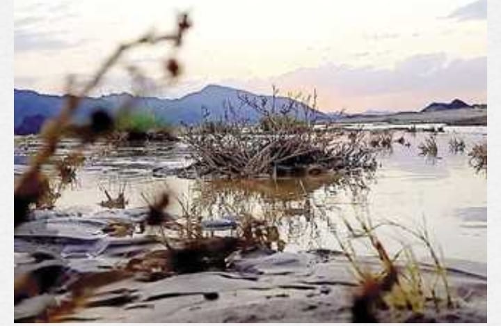 أمطار الخير» تملأ أودية «حلايب وشلاتين»