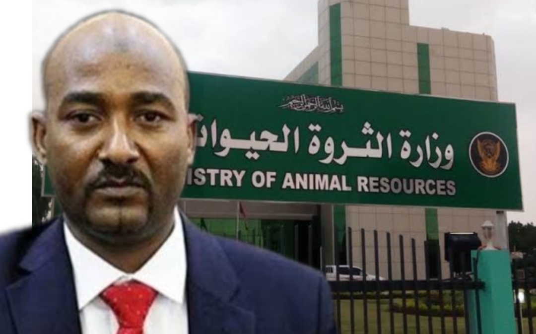 بالحقائق والأرقام والصور : هذه هى إنجازات وزارة الثروة الحيوانية والسمكية في السودان حول العالم
