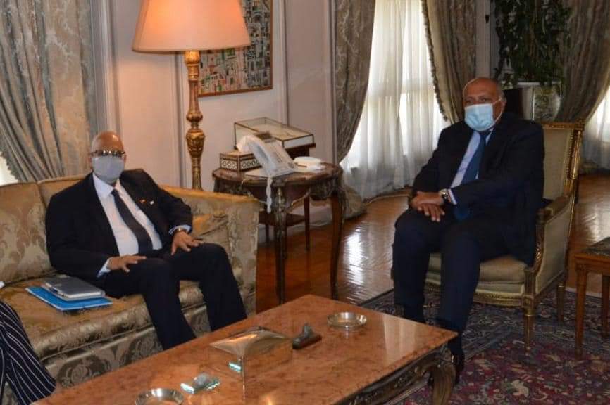 شكري يستقبل وزير خارجية مالي