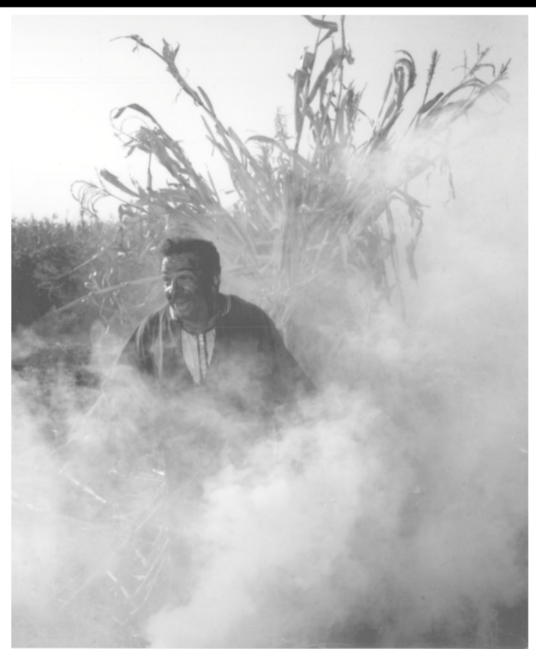 غدا .. افتتاح سينما حي بمعرض جمال فهمي وبرنامج أفلام يوسف شاهين