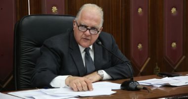 السويدى: نقل الوفد القبرصى تجربة الاستفتاء المصرى للاتحاد الأوروبى دليل على نجاحها