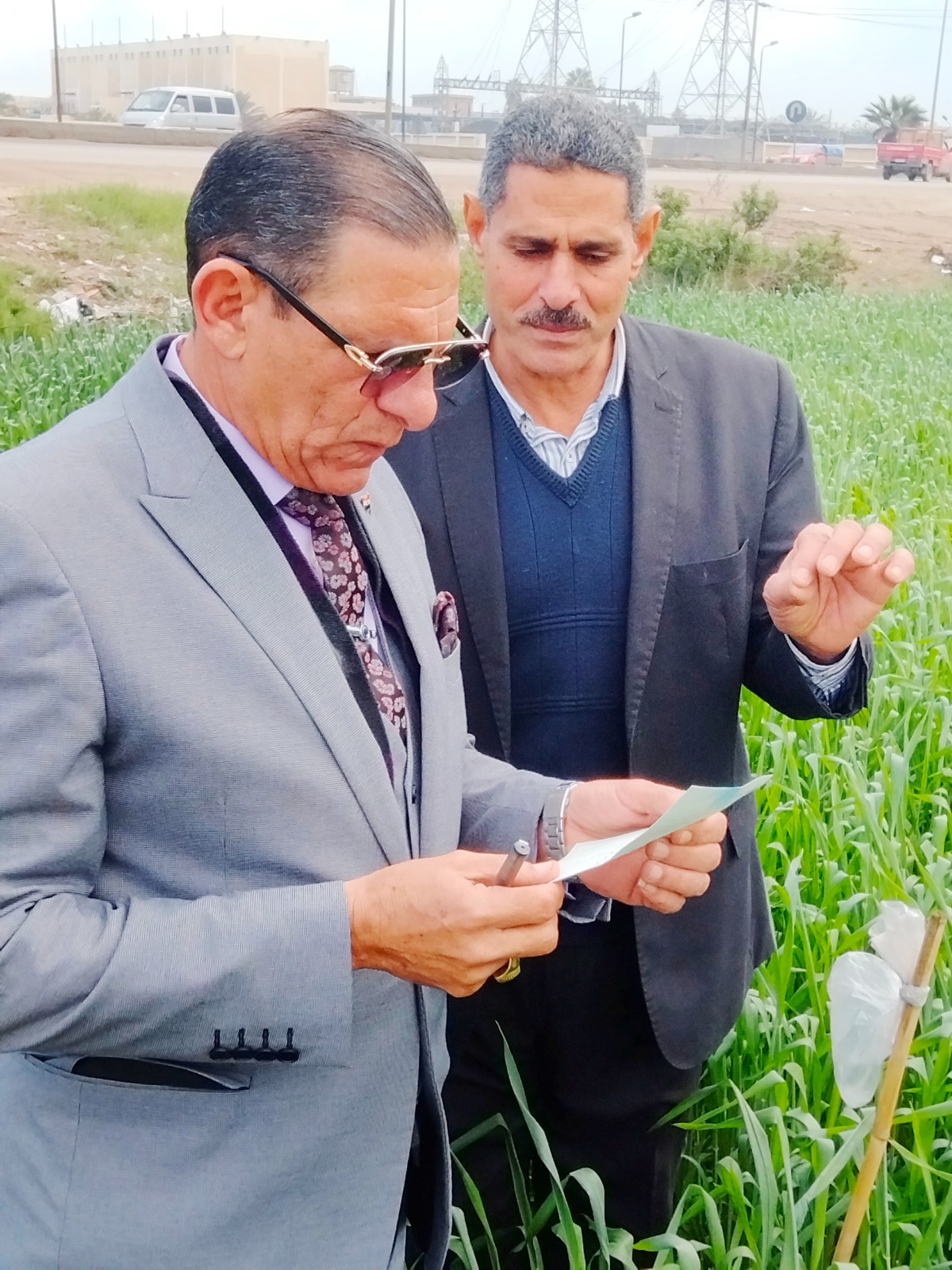 سارى يتفقد محصول القمح بمركز دمنهور 