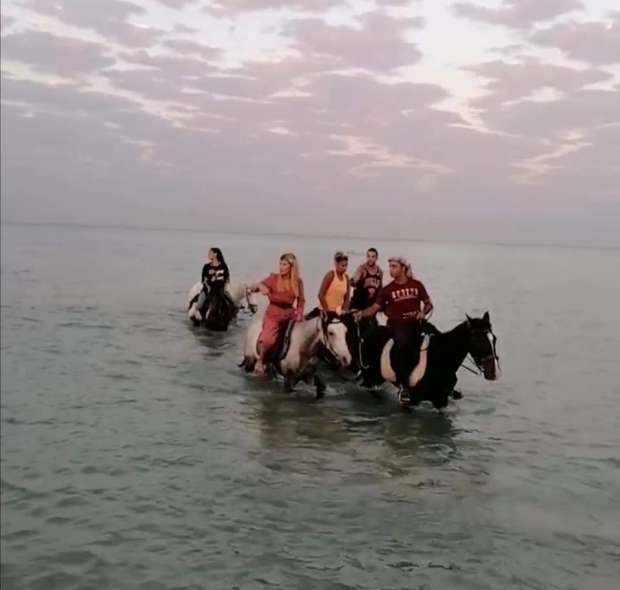 انتعاش سياحة الخيول بشواطئ الغردقة.. 