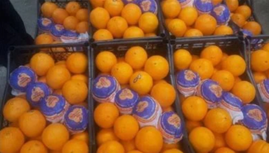 القصير يعلن انتهاء أزمة شحنات الموالح المحتجزة في روسيا.