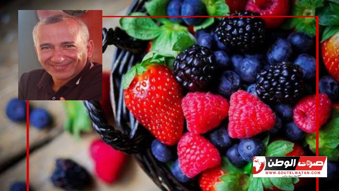 التوت والفراولة....تحسين للمزاج وتقوية للإدراك 