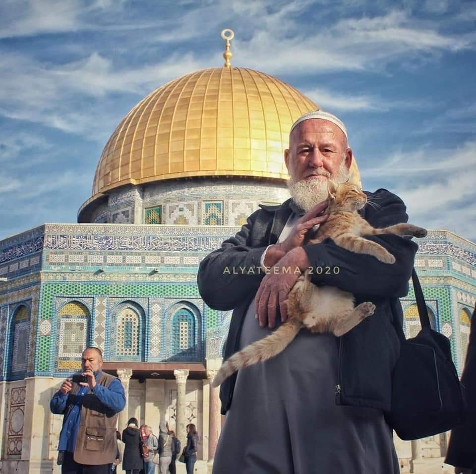 حكاية أبو هريرة المسجد الأقصى