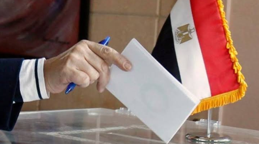 بيان ختامي : الانتخابات الرئاسية بالخارج تمت بنزاهة وكثافة