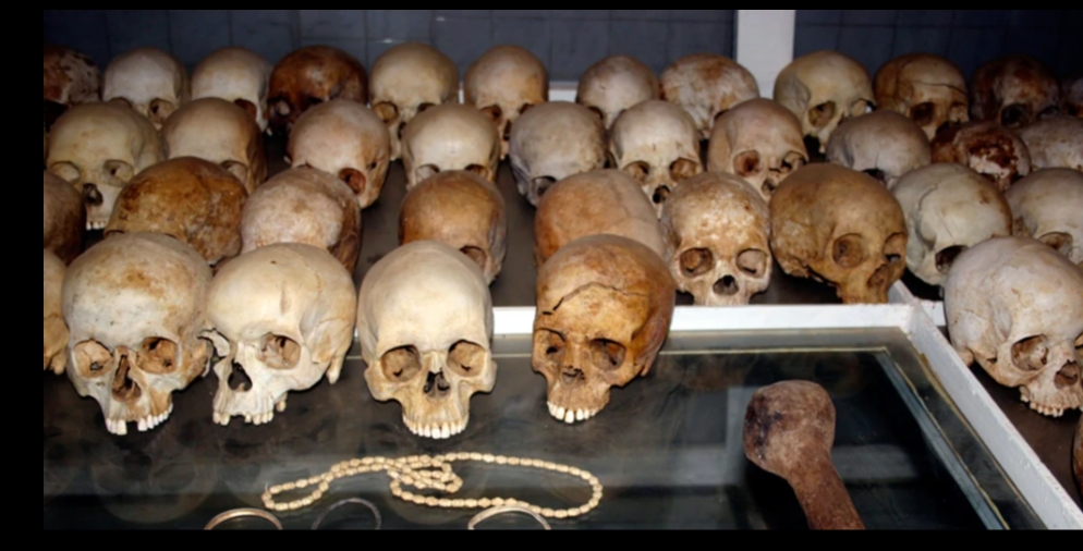 وقف مزاد لبيع الجماجم في بلجيكا بعد موجة انتقادات