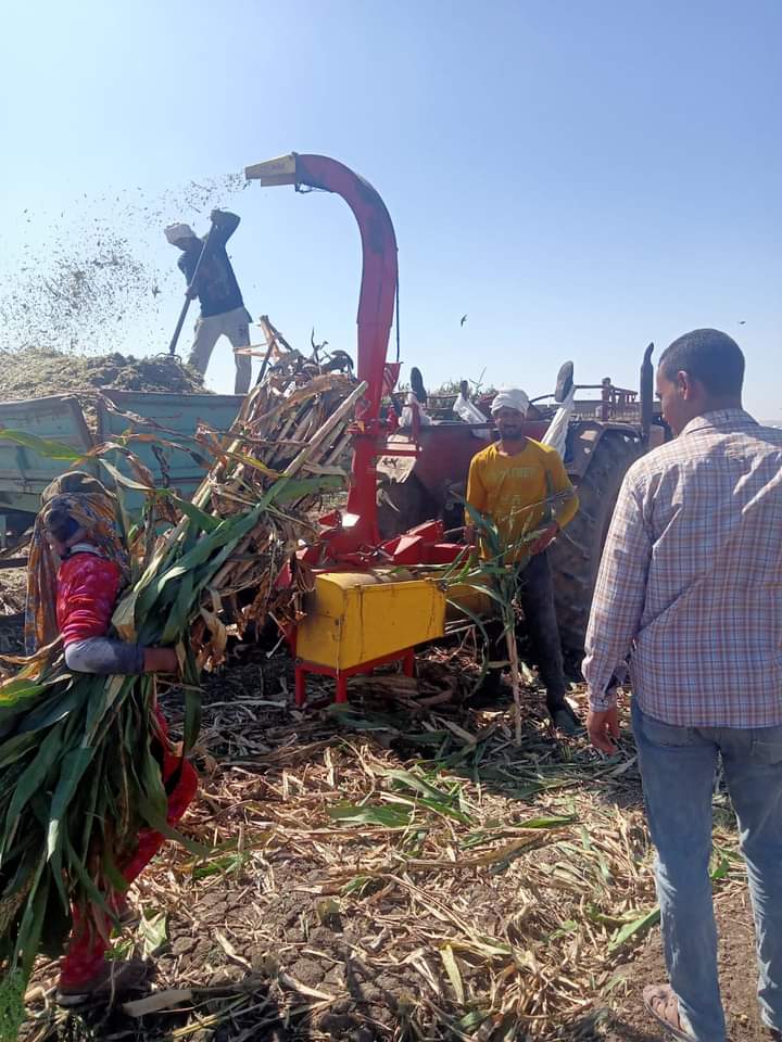 محافظ أسيوط: تدشن مبادرة لمناهضة الحرق المكشوف للمخلفات الزراعية بتوفير مفارم المخلفات الزراعية بالمجان لتشجيع المزارعين على فرم المخلفات وعدم حرقها