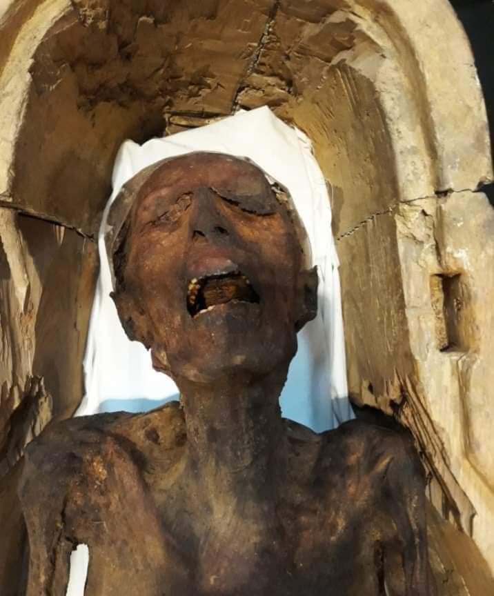 المومياء الصارخة ومؤامرة الحريم