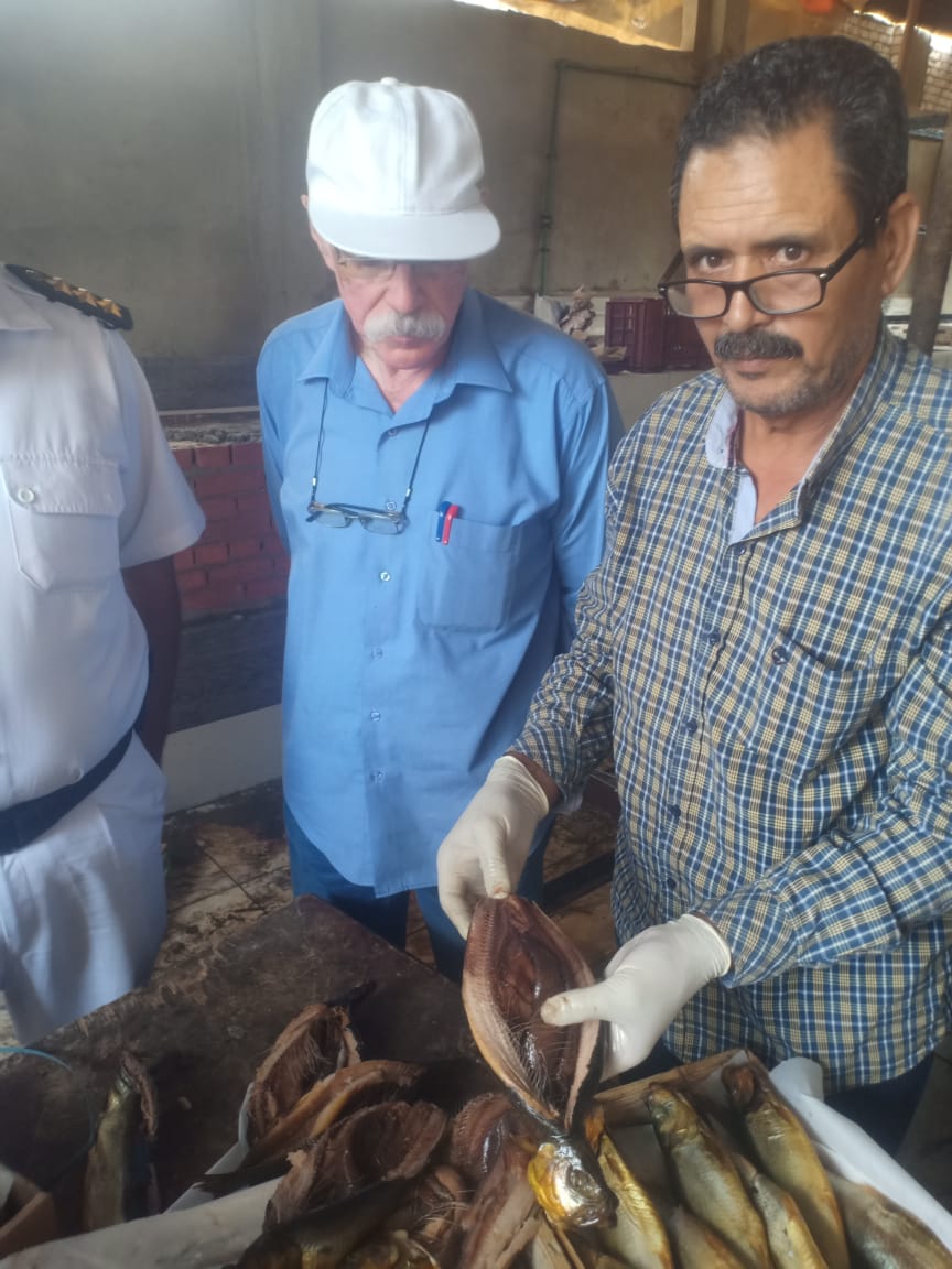 بيطري الغربية تضبط ٦٦٥.٩كجم لحوم وأسماك ودواجن غير صالحة للأستخدام الأدمي