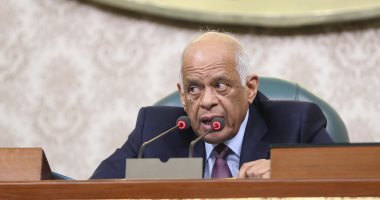 نائبات تطالبن بكوتة للمرأة فى المحليات بتعديلات الدستور