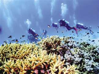 ورشة عمل بالغردقة حول برنامج المبادرة المصرية للشعاب المرحانية برعاية الأمم المتحدة