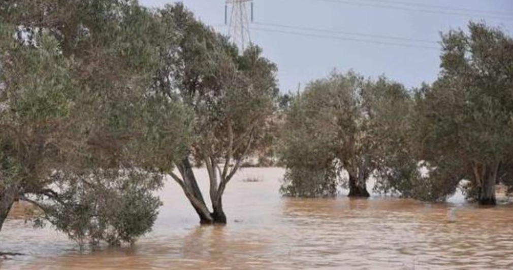 وزارة الموارد المائية والري: التحذير المبكر الصادر عن الوزارة أدى لتلافي الآثار السلبية للأمطار الغزيرة فى محافظات الدلتا وشمال الصعيد تابع موقف الإجراءات التى اتخذتها الوزارة للتعامل مع موجة الأمطار الغزيرة 