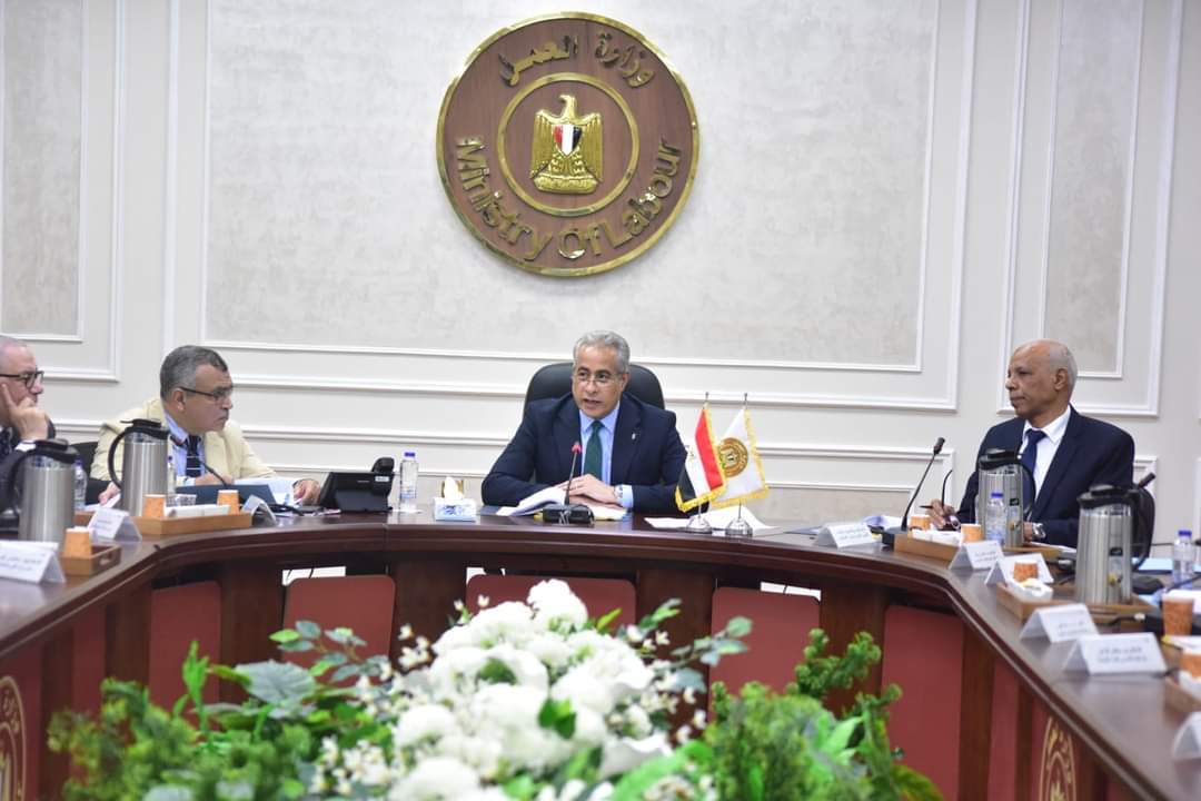 حماية إجتماعية" و"حياة كريمة" في "الجمهورية الجديدة" :