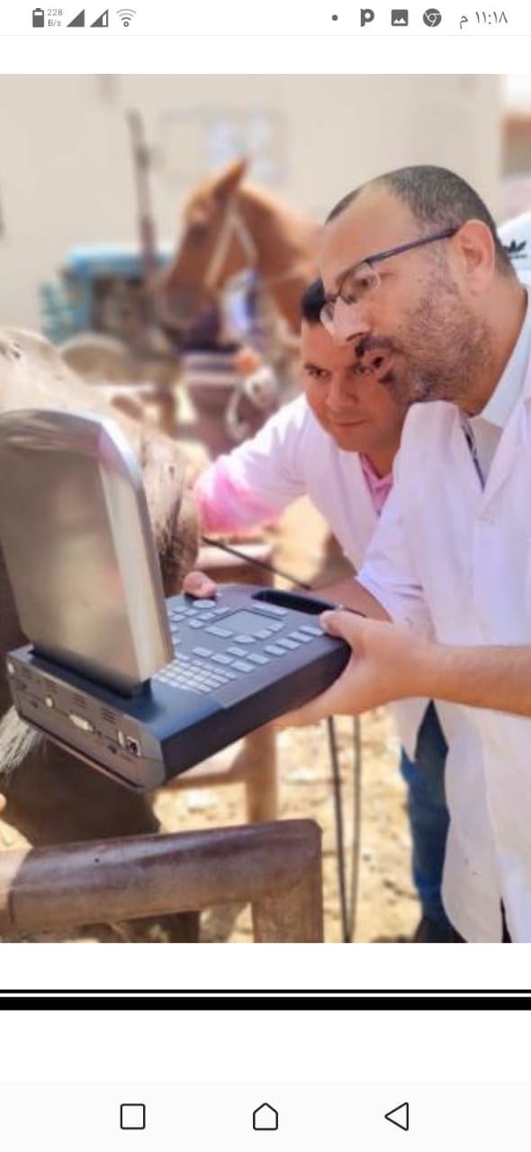 بيطري الغربية: استحداث نقاط تلقيح اصطناعي جيدة وتوفير ٩١ ترمس لحفظ النيروجين و١٧ جهاز سونار