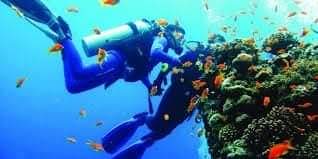 الغوص بالغردقة ومرسى علم يستقبل الهواة من «ذوى الإعاقات الحركية»