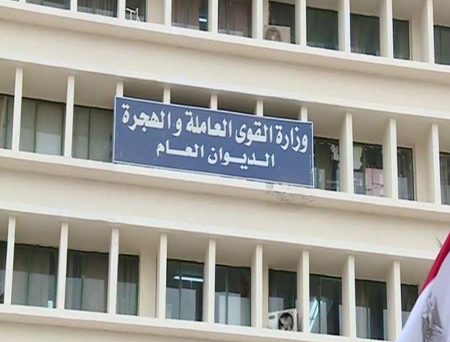 الحصاد.."القوى العاملة في 7 أيام: حَصر وتَدريب وتشغيِل لـ"ذوي الهمم" تنفيذاً لتوجيهات الرئيس السيسي 