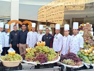 تنظيم مهرحان العنب بمشاركة السائحين في الغردقة (صور)