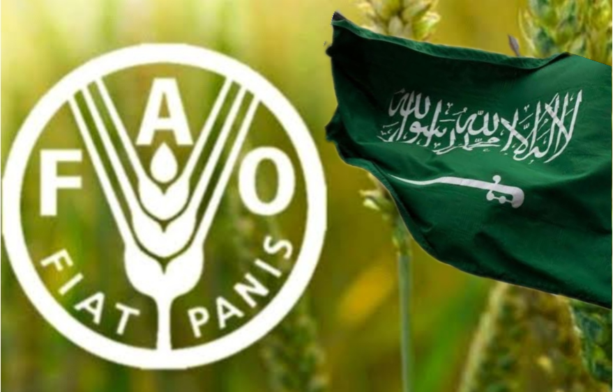 المملكة تؤكد استمرارها في دعم منظمة "الفاو" لتحقيق الأمن المائي والغذائي ومكافحة الجوع والفقر محليًا وإقليميًا ودوليًا