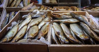 كيفية التعرف على الأسماك السليمة والفاسدة فى شم النسيم