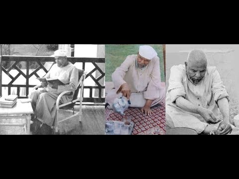 الشيخ الشعراوي توسَّط لدي السادات للإفراج عن الرئيس محمد نجيب وزاروجيه أباظه في محبسه!