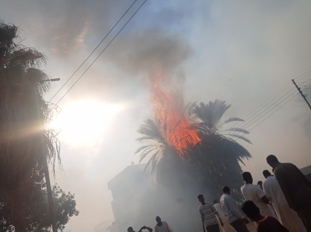 حريق هائل بإحدى زراعات النخيل بقرية ابريم بنصر النوبة باسوان
