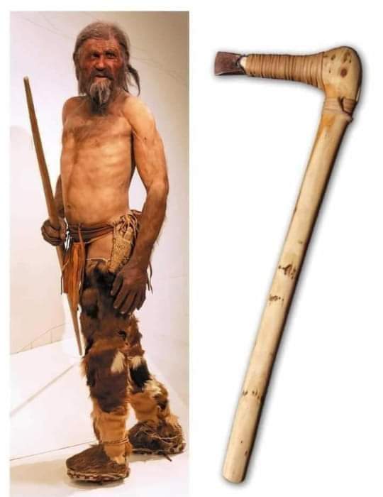 أوتزي: رجل الجليد الذي يحكي تاريخ خمسة آلاف عام