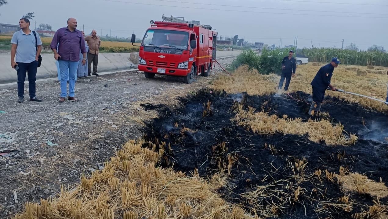 مع بدء حصاد الأرز بالبحيرة لجان مرورية لمنع الحرق المكشوف وتقديم الدعم للمزارعين