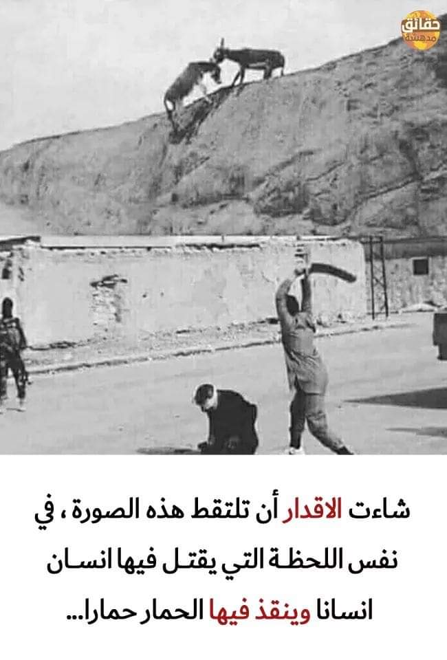 الإنسان والحمار