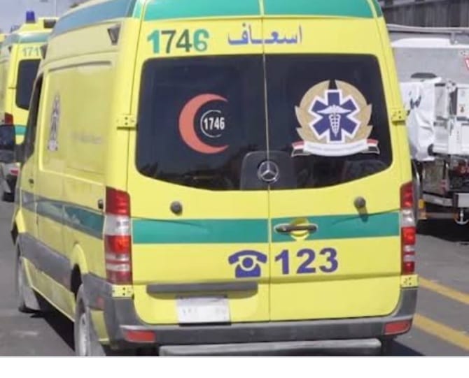 تسمم 4 أطفال أشقاء تناولوا وجبة طعام فاسد بمنزلهم بمركز طما سوهاج