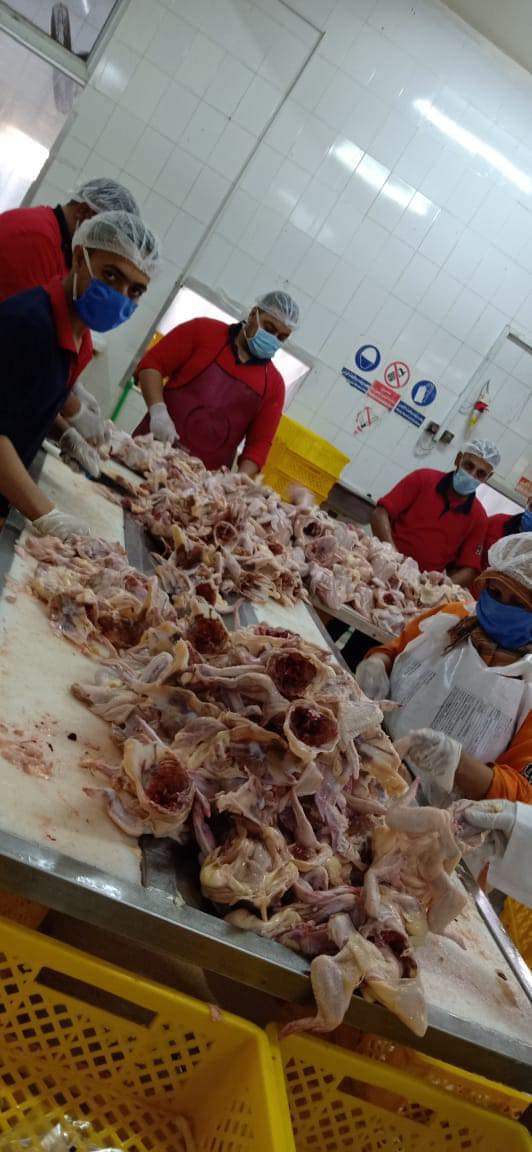 صحة القليوبية تقوم بضبط ٦٦٣٤ كجم من المنتجات الغذائية الغير صالحة للاستهلاك الآدمي بحلول عيد الأضحي المبارك