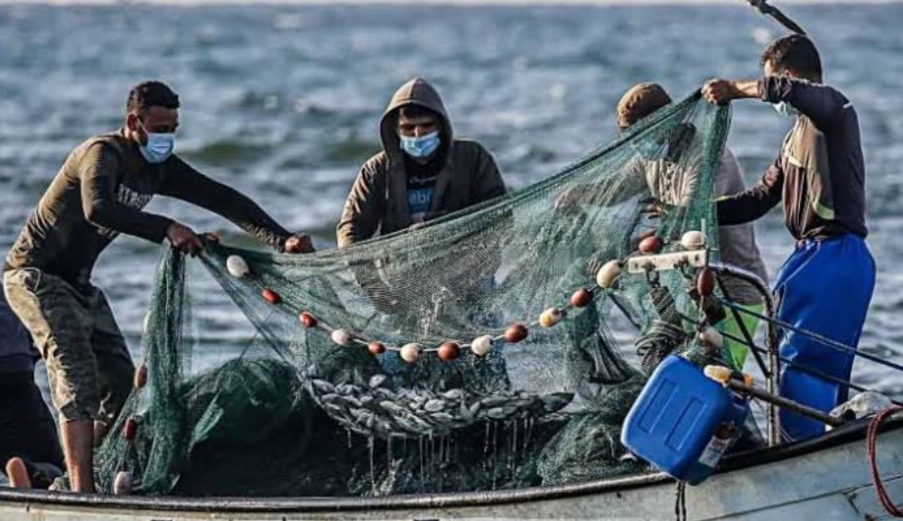 8 آلاف جنيه تعويضًا شهريًا لكل صياد والغرامة 100 ألف جنيه للمخالف