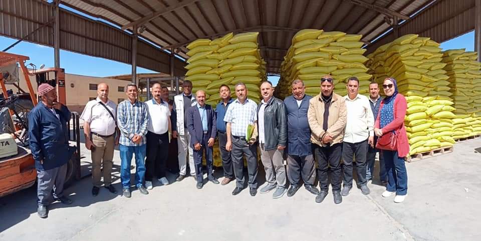 الزراعة : اهتمام كبير بملف إنتاج التقاوى تواكب النهضة الزراعية التي تشهدها مصر في عهد الرئيس السيسي