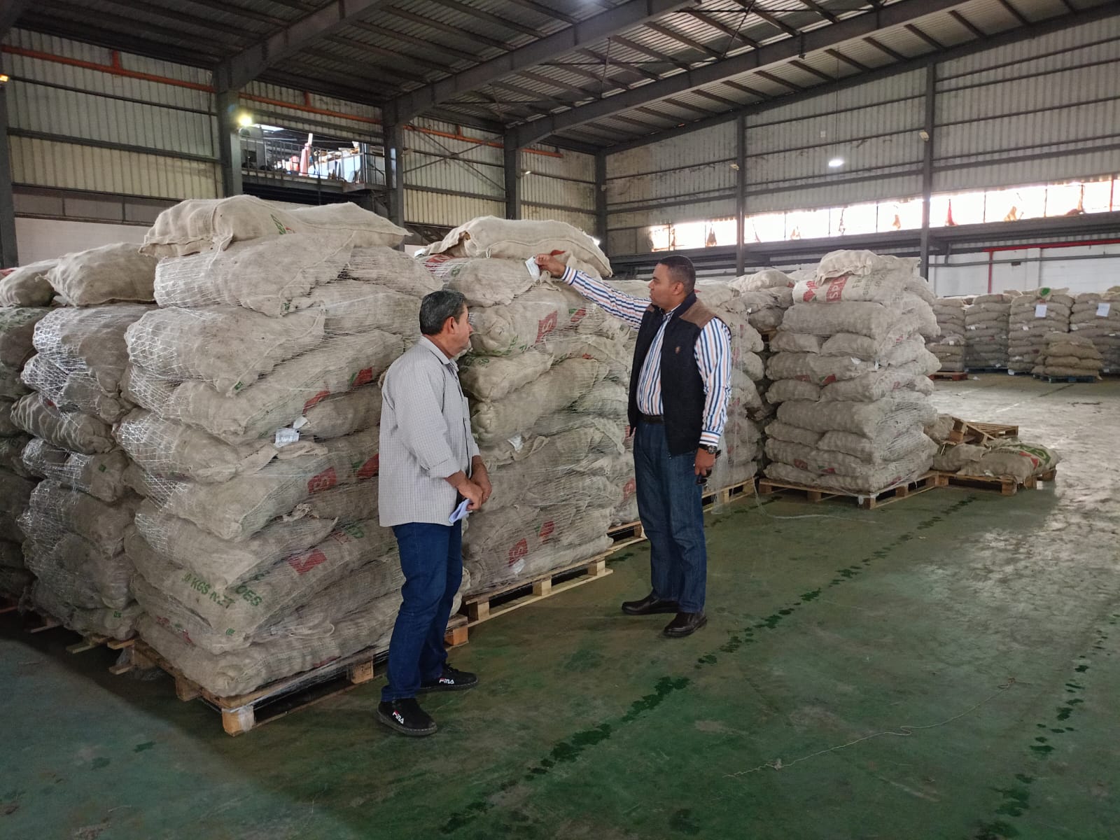 ضبط محطتين للحاصلات الزراعية تصرف فى 891 طن تقاوي بطاطس تحت الحجر الزراعي