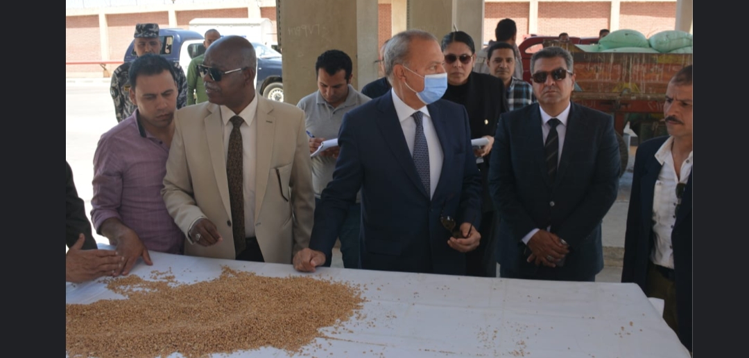 محافظ القليوبية يتفقد صوامع القمح بمدينة بنها لمتابعة أعمال التوريد ويؤكد على إنتظام العمل وتوريد أكثر من 4 آلاف طن حتى الآن