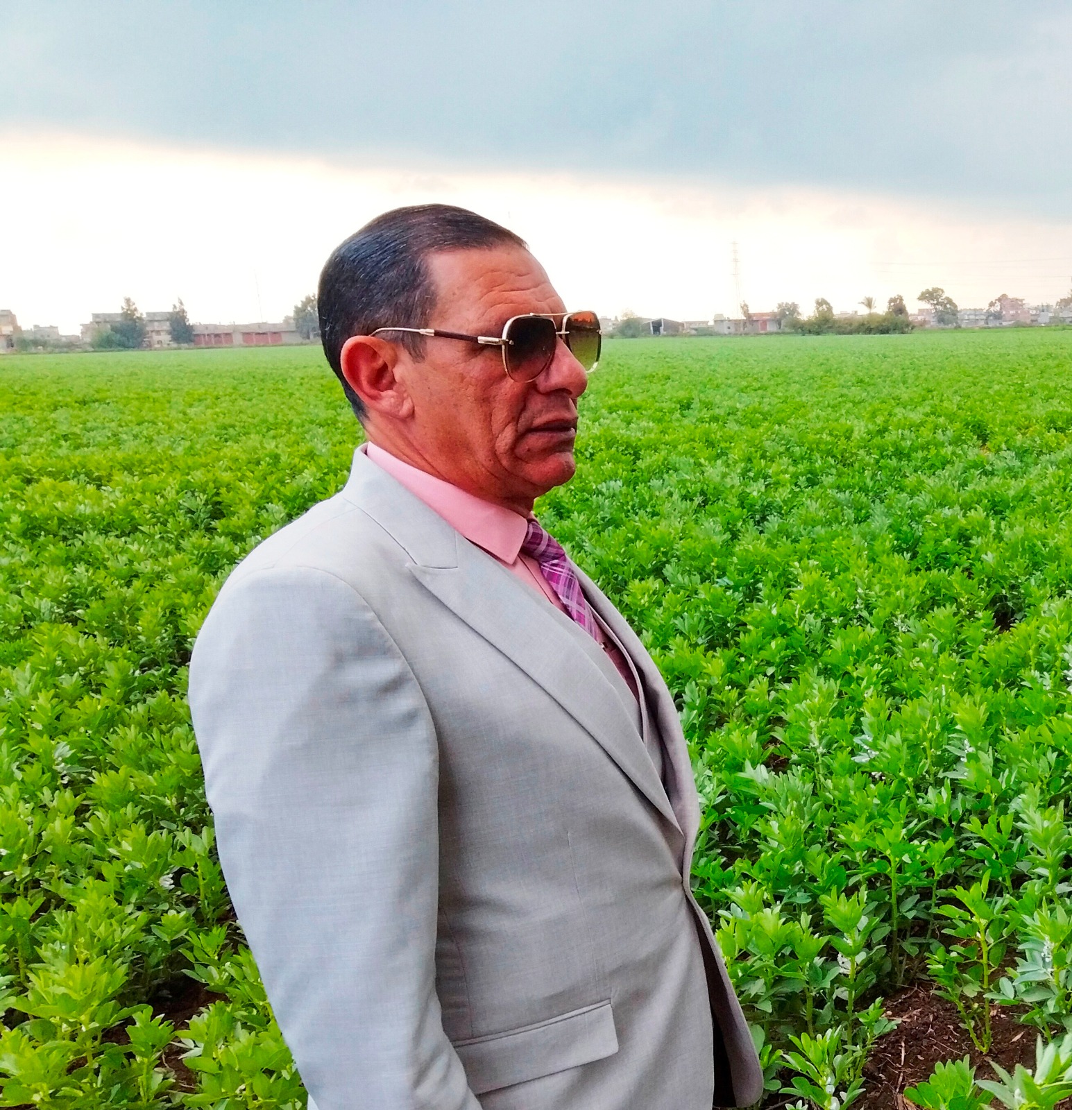 وكيل وزارة الزراعة الانتهاء من زراعة المحاصيل الشتوية بالبحيرة 