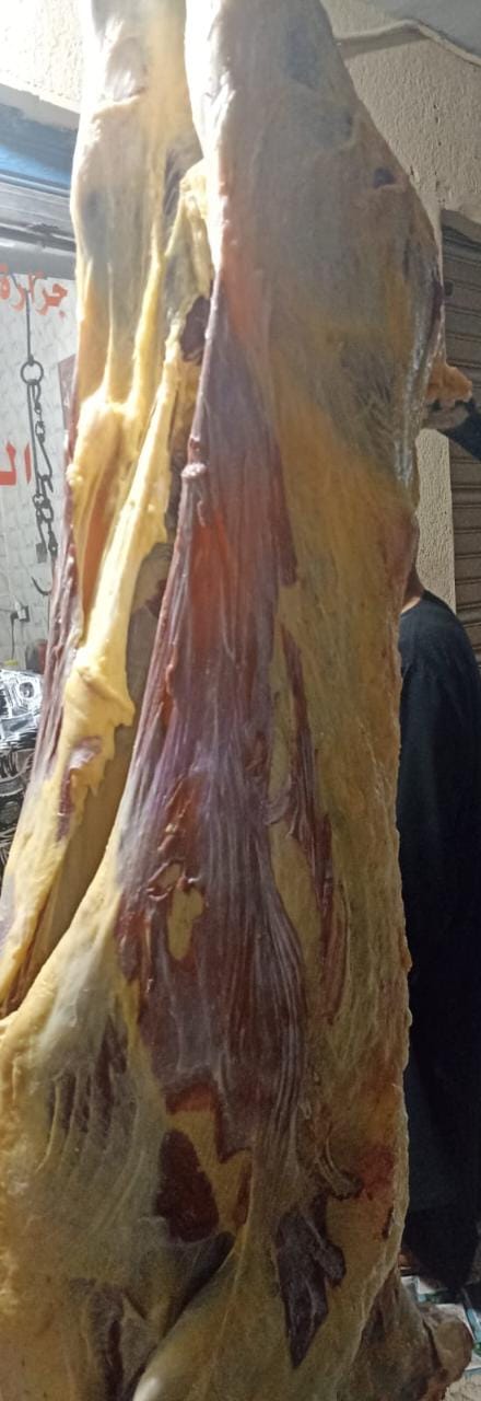 ضبط ذبيحة لبقرة أنثى تزن 215 كجم مذبوحة خارج المجازر الحكومية و 4 طن مخصبات زراعية مجهولة المصدر بالبحيرة