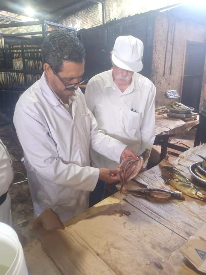 مديرية الطب البيطري بالغربية  تحرر ٩١٦ محضر تداول مواد غذائية غير صالحة للاستهلاك الأدمي