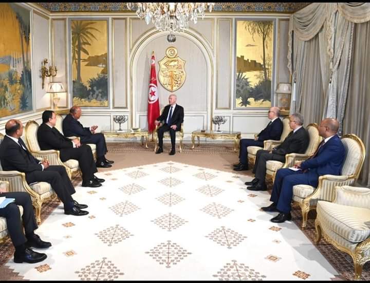 وزير الخارجية ينقل رسالة من الرئيس السيسي إلى الرئيس قيس سعيد