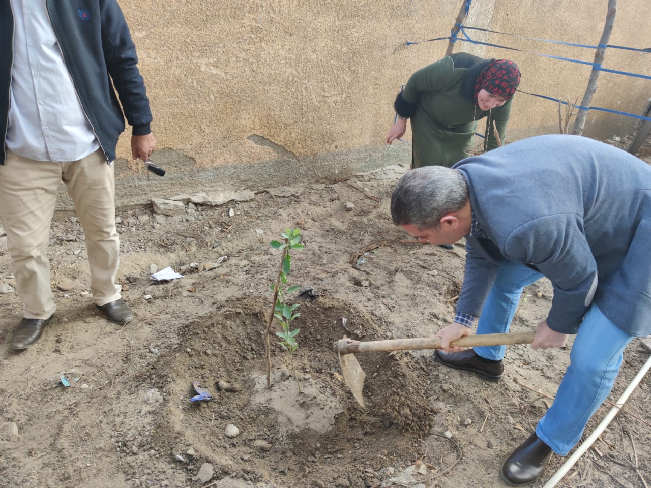 وكيل مديرية التربية والتعليم بالقليوبية يشارك فى زراعة الاشجار بالمدارس
