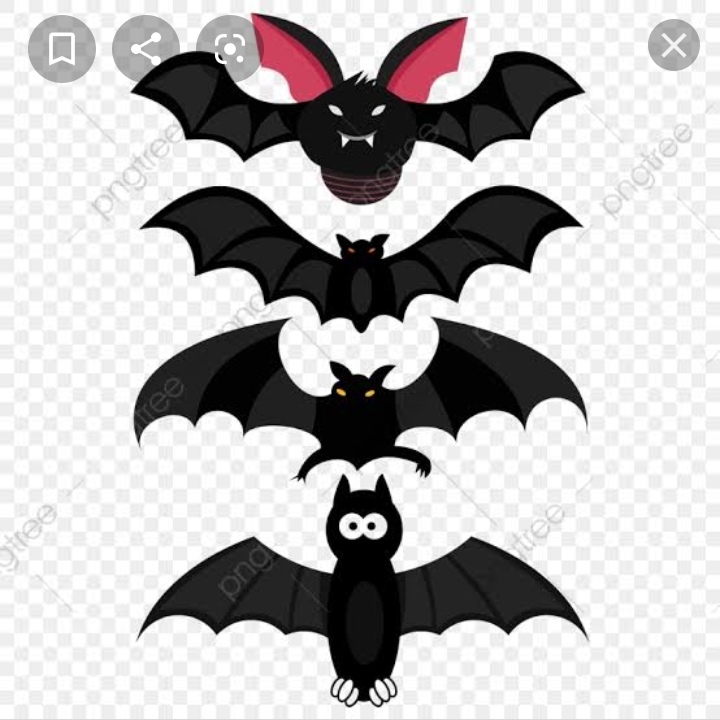 بالصور.. ازدهار تجارة خفافيش كورونا القاتلة